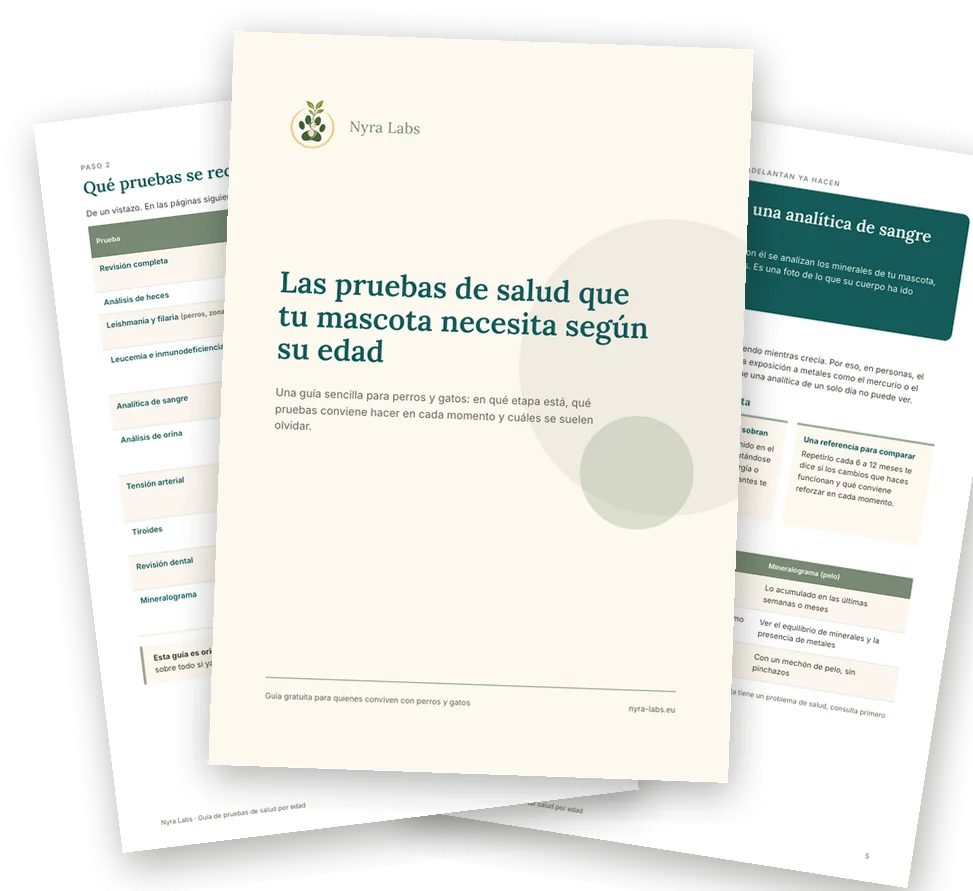 Páginas de la guía Las pruebas de salud que tu mascota necesita según su edad