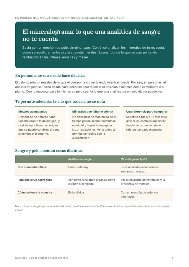 Página: el mineralograma