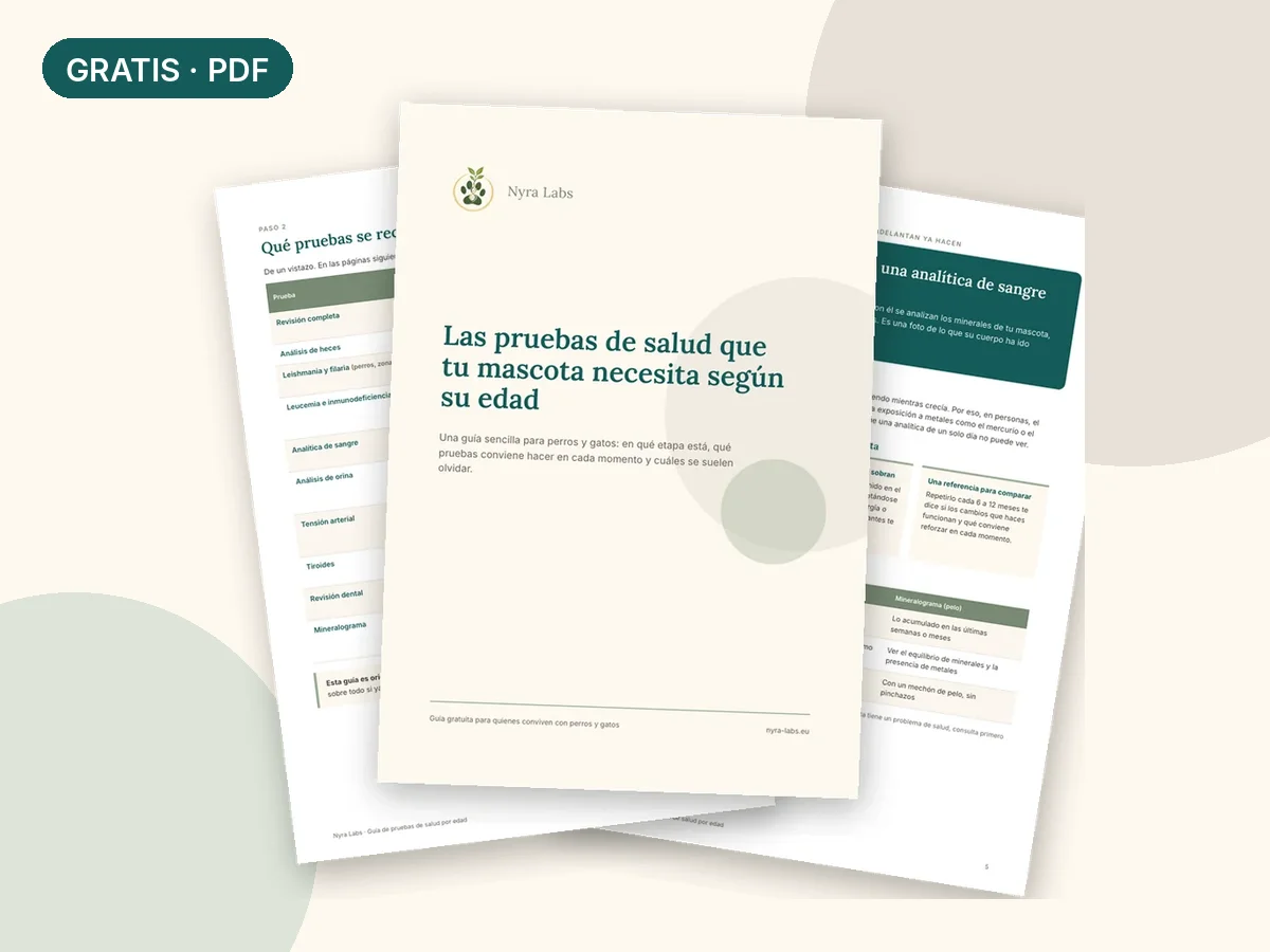 Guía gratuita: las pruebas de salud que tu mascota necesita según su edad