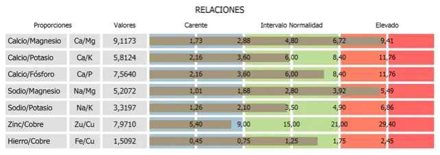 relacion entre minerales mineralograma